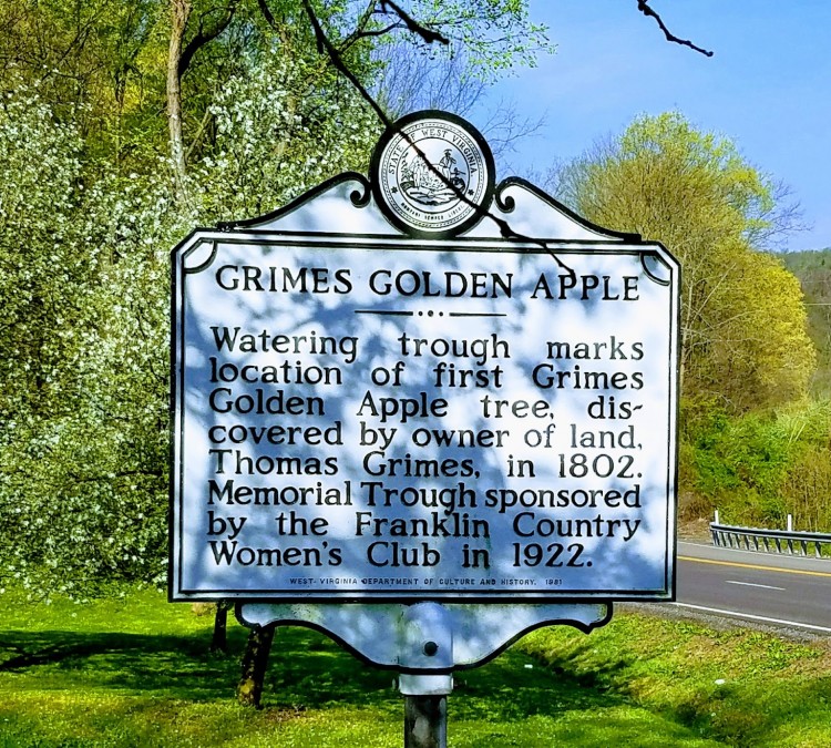 Grimes Golden Apple Park (Wellsburg,&nbspWV)
